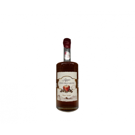 Bouteille de Pomme châtaigne de 50 CL